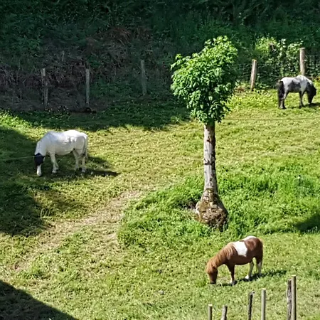 Gite Carla Aubin (Aveyron)